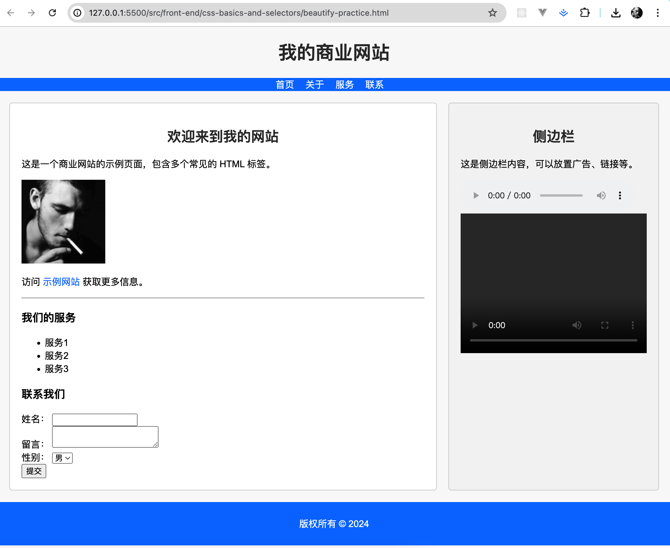 CSS 美化实战案例效果图